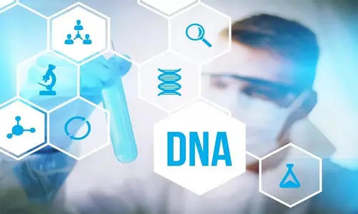 云南DNA亲子鉴定在哪个医院能做,云南医院做亲子鉴定的流程