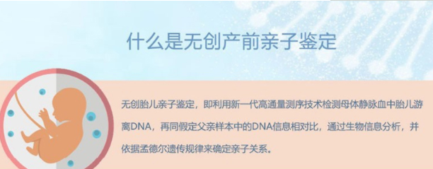 云南怀孕十七周如何做亲子鉴定,云南产前亲子鉴定办理费用