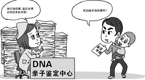 云南DNA鉴定到哪里,云南亲子鉴定需要多少费用